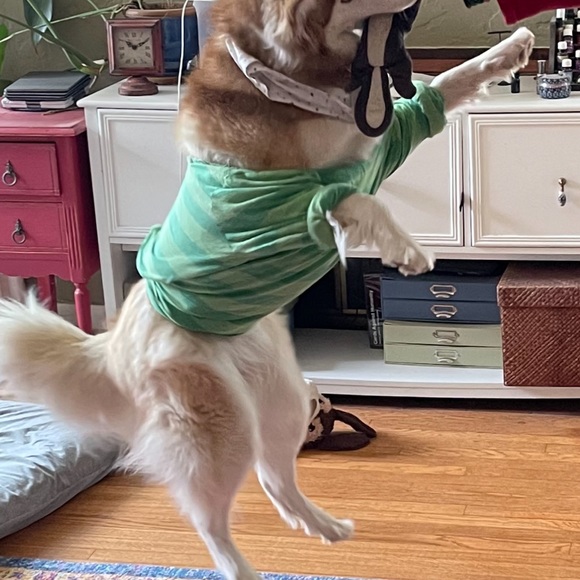 It’s silly dress-up day at Chantyes Boutique 💃 - Picture 2 of 3